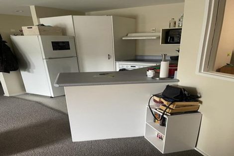 Photo of property in Courtenay Apartments, 505/120 Courtenay Place, Te Aro, Wellington, 6011