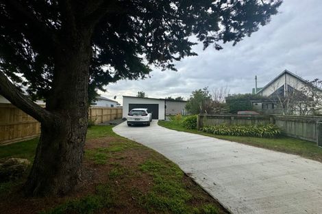 Photo of property in 77 Dublin Street, Martinborough, 5711