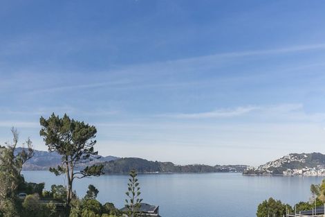 Photo of property in 48 Rangiora Avenue, Kaiwharawhara, Wellington, 6035