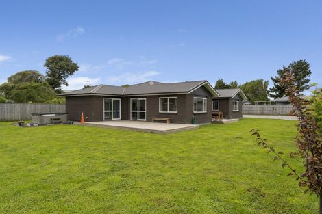 Photo of property in 3 Dow Chung Place, Otaki, 5512