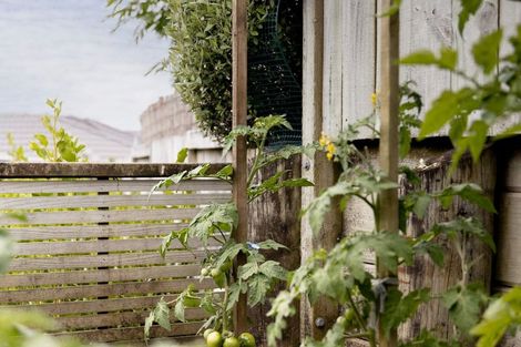 Photo of property in 20 Parkland Rise, Omokoroa, 3114