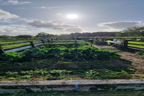 Photo of property in 125 Waiare Road, Okaihau, 0475