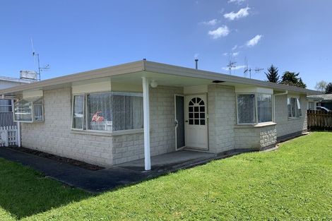 Photo of property in 81 Winchester Street, Levin, 5510