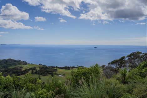 Photo of property in 425d Boat Harbour Road, Whenuakite, Whitianga, 3591