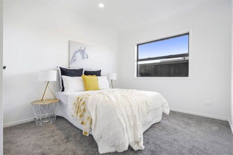 Photo of property in 67 Probert Crescent, Chartwell, Hamilton, 3210