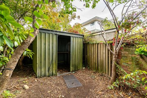 Photo of property in 5 Leven Street, Roslyn, Dunedin, 9010