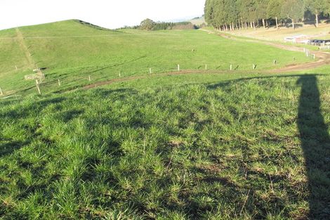 Photo of property in 181 Link Road, Wairakei, Taupo, 3384