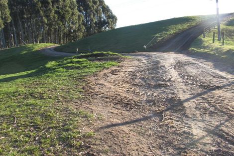 Photo of property in 181 Link Road, Wairakei, Taupo, 3384