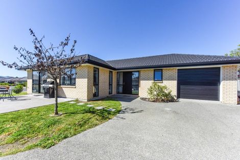 Photo of property in 49 Malone Crescent, Richmond, 7020