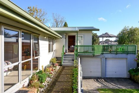 Photo of property in 59 Gibson Road, Dinsdale, Hamilton, 3204