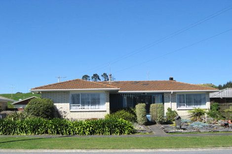 Photo of property in 19 Porritt Avenue, Huntly, 3700