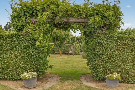Photo of property in 225 Marshmans Road, Ashley, Rangiora, 7477