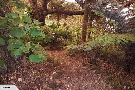 Photo of property in 54 Beach Valley Road, Piha, New Lynn, 0772