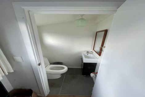 Photo of property in 53 Wilson Street, Newtown, Wellington, 6021