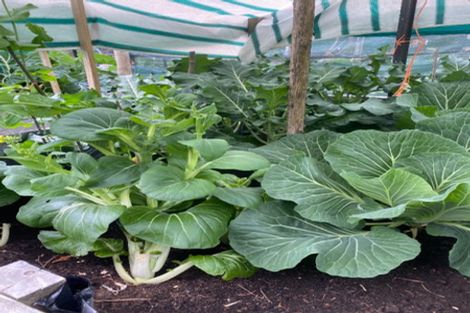 Photo of property in 415 Woodbank Road, Hanmer Springs, 7334