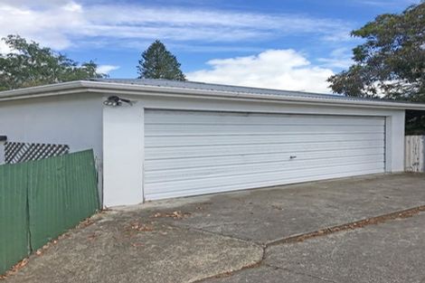 Photo of property in 217 College Street, West End, Palmerston North, 4412