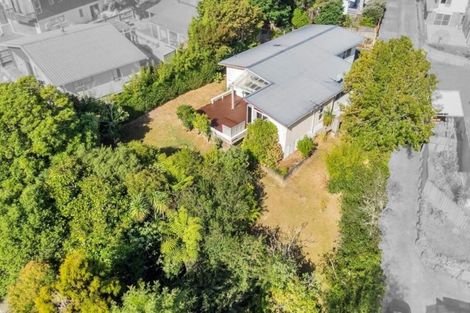 Photo of property in 42 Woodstock Road, Forrest Hill, Auckland, 0620