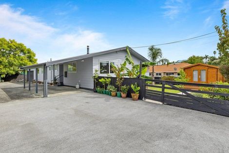 Photo of property in 23 Albert Road, Warkworth, 0910