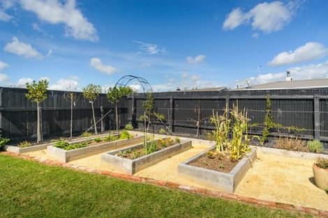 Photo of property in 2 Alma Place, Milson, Palmerston North, 4414