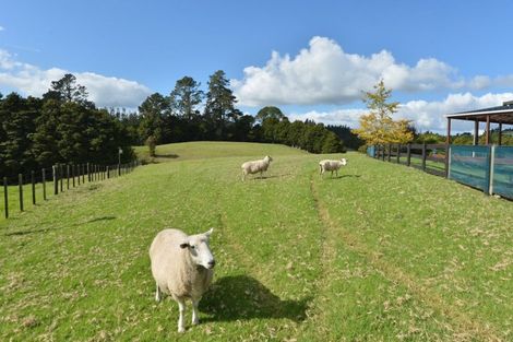 Photo of property in 50 Appian Way, Ruatangata West, Whangarei, 0176