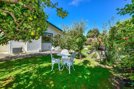 Photo of property in 43 Waimea Terrace, Beckenham, Christchurch, 8023