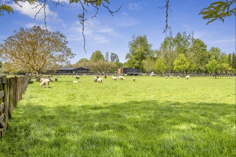 Photo of property in 43 Forrest Road, Cambridge, 3493