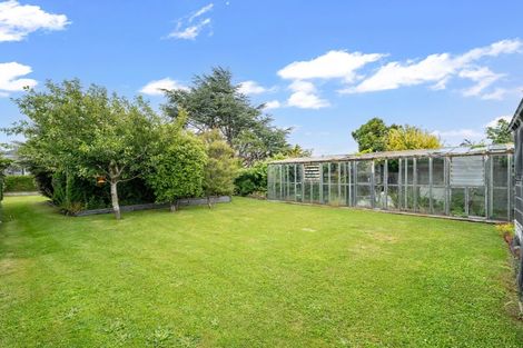 Photo of property in 29 Venus Street, Georgetown, Invercargill, 9812