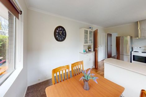 Photo of property in 127a Victoria Avenue, Hokowhitu, Palmerston North, 4410