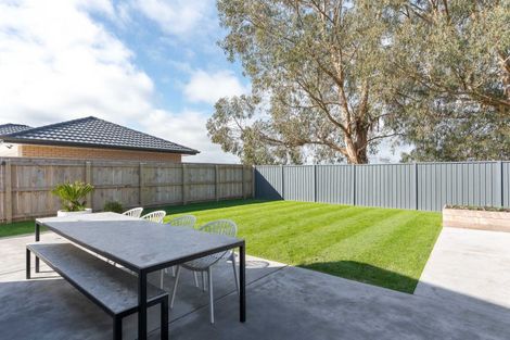 Photo of property in 24 Plains Avenue, Masterton, 5810