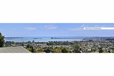 Photo of property in 16 Windleborn Place, Richmond, 7020