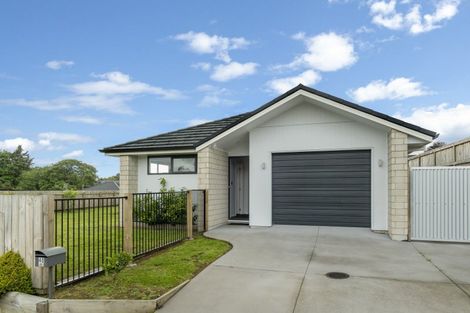 Photo of property in 40 Tynan Street, Te Puke, 3119
