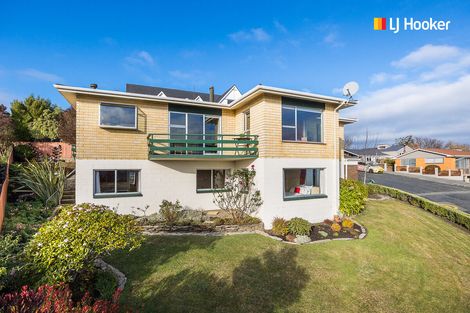 Photo of property in 24 Elliffe Place, Shiel Hill, Dunedin, 9013