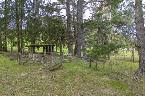 Photo of property in 1344 Ngapaeruru Road, Te Uri, Dannevirke, 4973