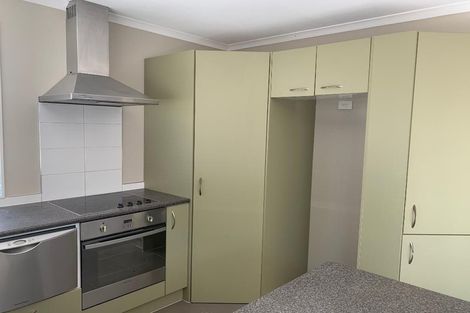 Photo of property in 221b Fox Street, Hamilton East, Hamilton, 3216