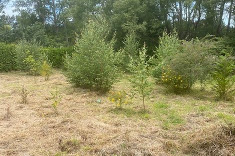 Photo of property in 34 Roseness Street, Palmerston, 9430