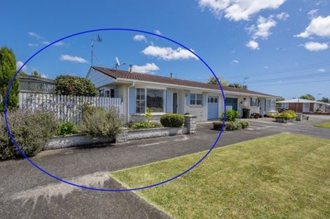 Photo of property in 30 Kent Street, Levin, 5510