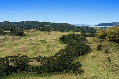 Photo of property in 183 Wainui Road, Torere, Opotiki, 3197