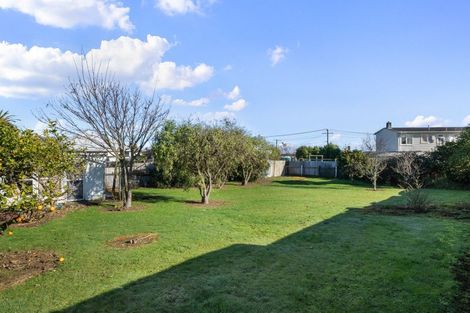 Photo of property in 1 Mahoe Street, Levin, 5510