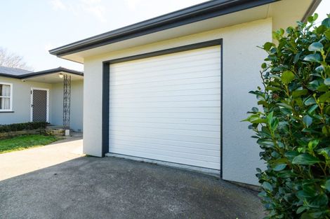 Photo of property in 88a Brightwater Terrace, Terrace End, Palmerston North, 4410