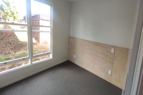 Photo of property in 46 Kitenui Avenue, Mount Albert, Auckland, 1025