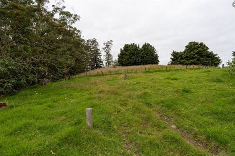 Photo of property in 110 Range Road, Kawakawa, 0281
