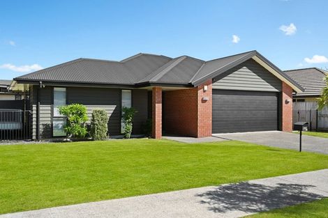 Photo of property in 253 Dixon Road, Fitzroy, Hamilton, 3206