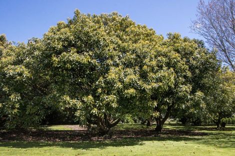 Photo of property in 13b Astelia Drive, Omokoroa, 3114