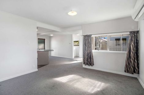 Photo of property in 13a Manse Street, Hampstead, Ashburton, 7700