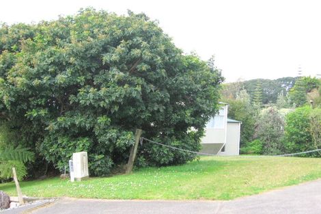 Photo of property in 323 Onemana Drive, Onemana, Whangamata, 3691