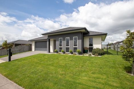 Photo of property in 5 Trauzer Place, Flagstaff, Hamilton, 3210