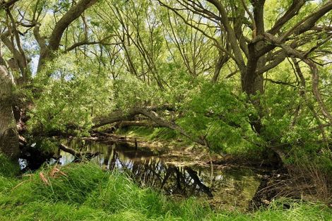 Photo of property in 88 Maytown Road, Waimate, 7978