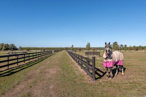 Photo of property in 573 Burnham School Road, Burnham, Christchurch, 7677