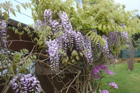 Photo of property in 104 Hays Place, Thames, 3500