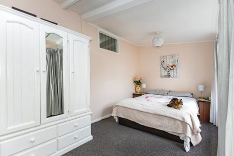 Photo of property in 53a Mckenzie Street, Geraldine, 7930